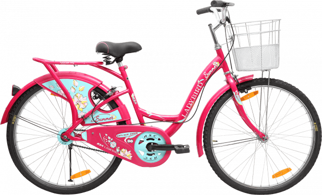 BSA Ladybird Summer ASC